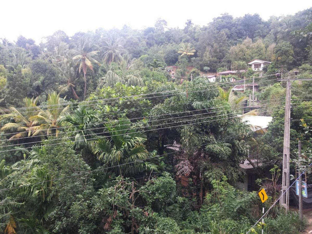 Greenwood Kandy Homestay Exteriör bild
