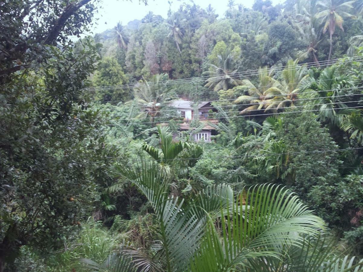 Greenwood Kandy Homestay Exteriör bild